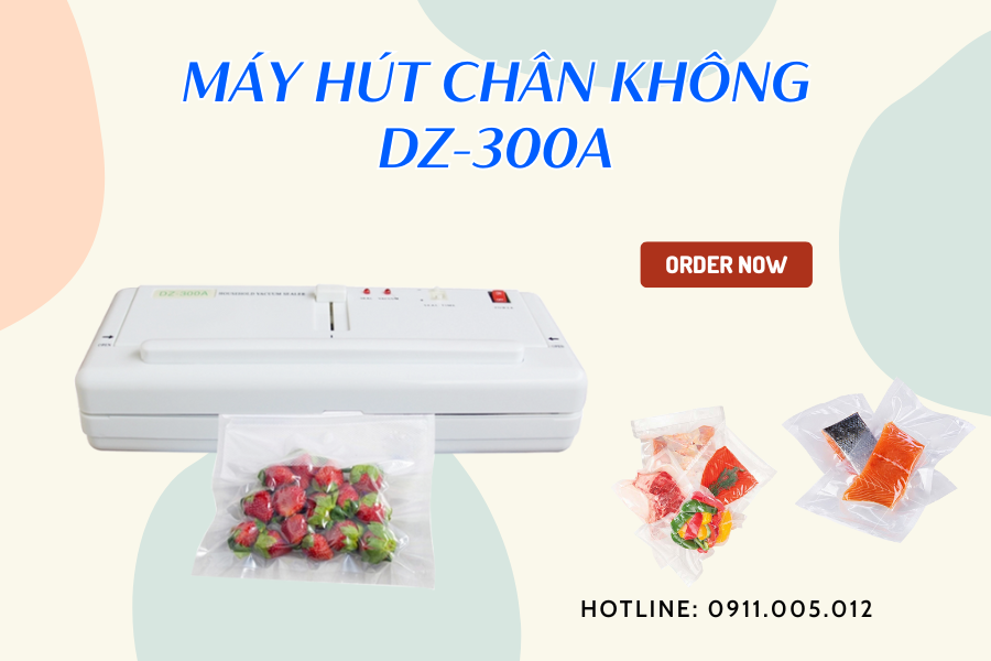 Máy hút chân không DZ-300A